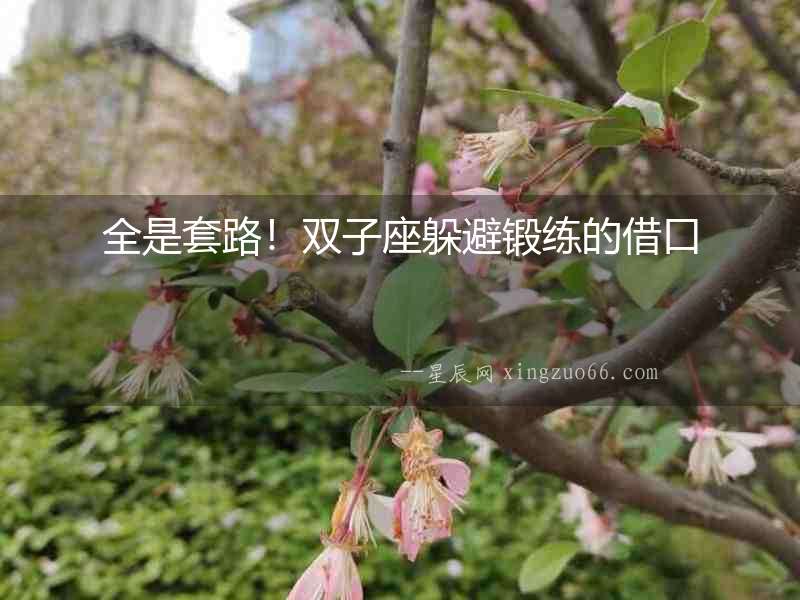 全是套路！雙子座躲避鍛練的借口