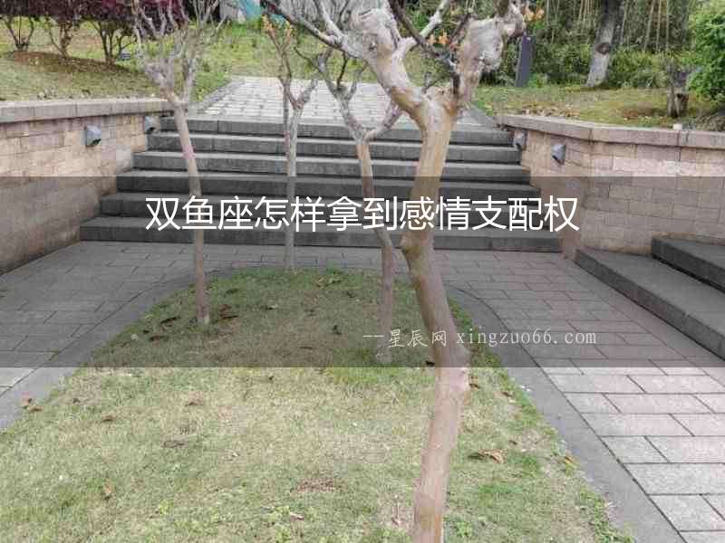 雙魚座怎樣拿到感情支配權(quán)