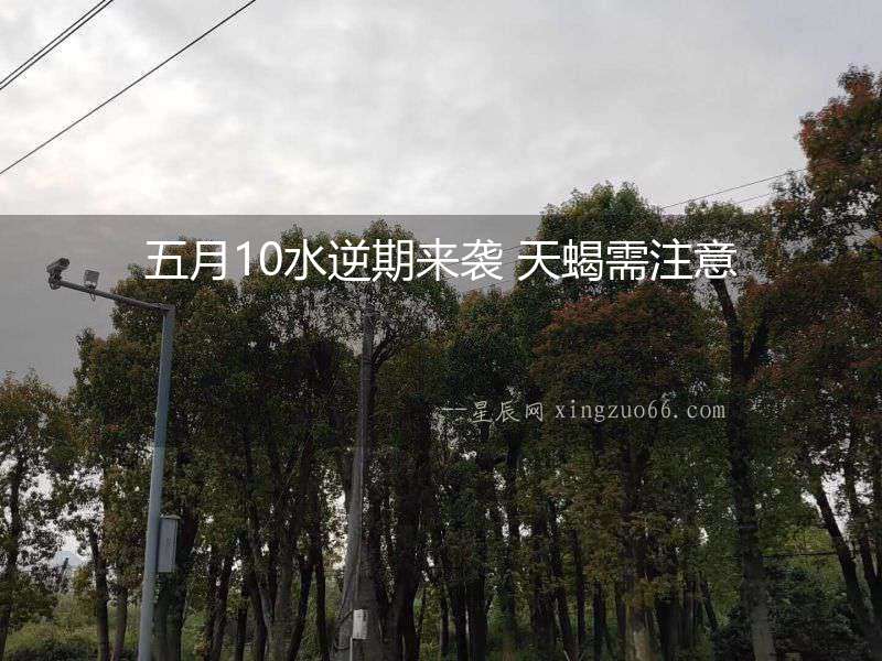 五月10水逆期來襲 天蝎需注意