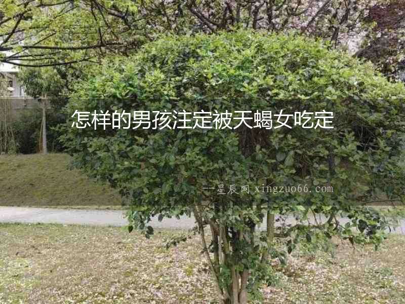 怎樣的男孩注定被天蝎女吃定