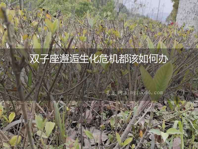 雙子座邂逅生化危機都該如何辦