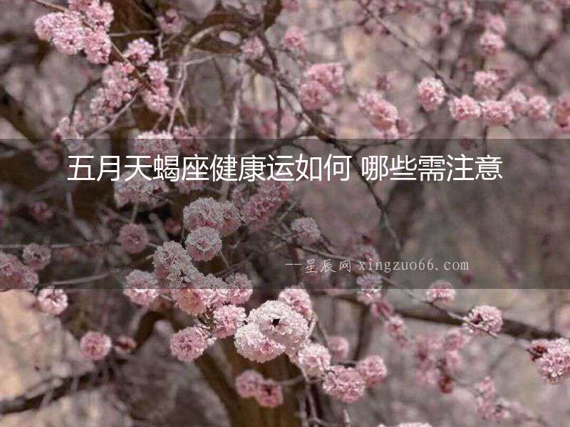 五月天蝎座健康運如何 哪些需注意