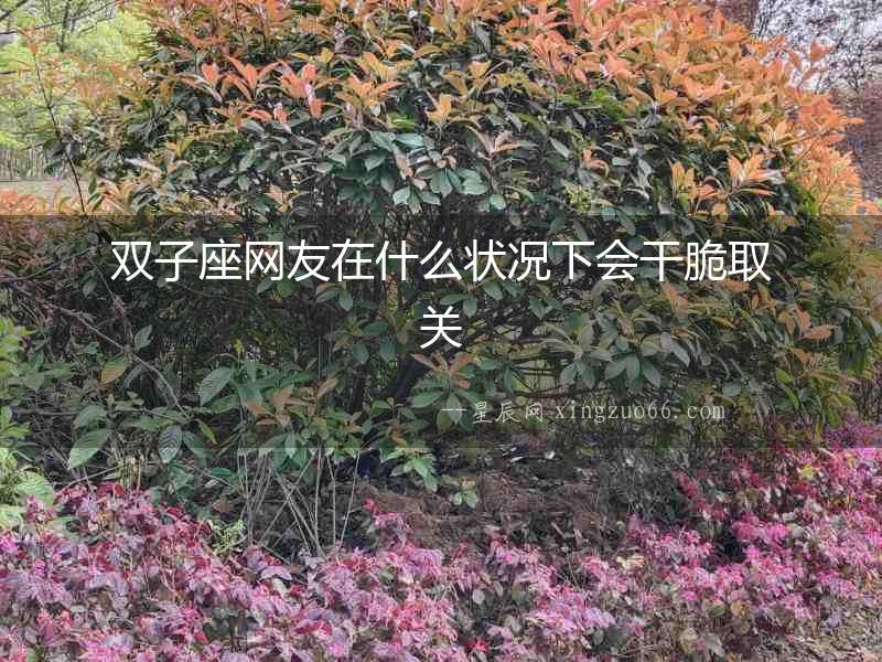雙子座網(wǎng)友在什么狀況下會(huì)干脆取關(guān)