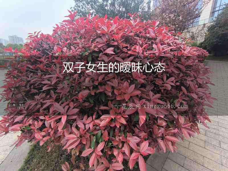 雙子女生的曖昧心態