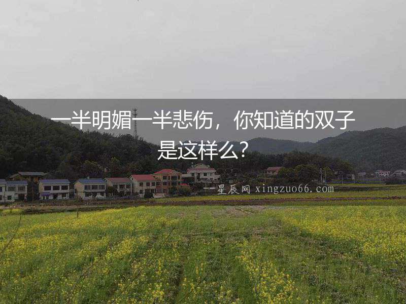 一半明媚一半悲傷，你知道的雙子是這樣么？