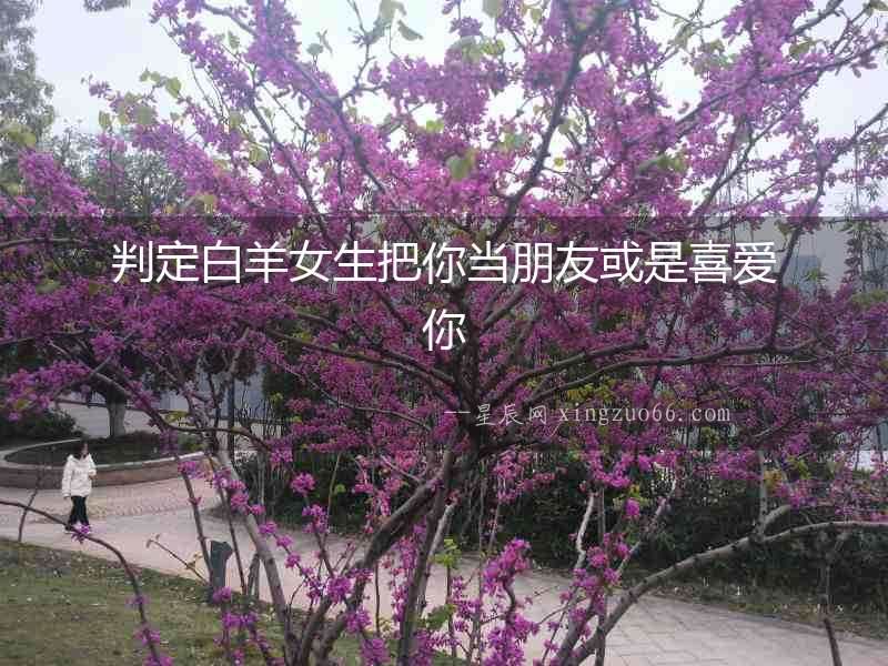 判定白羊女生把你當(dāng)朋友或是喜愛你