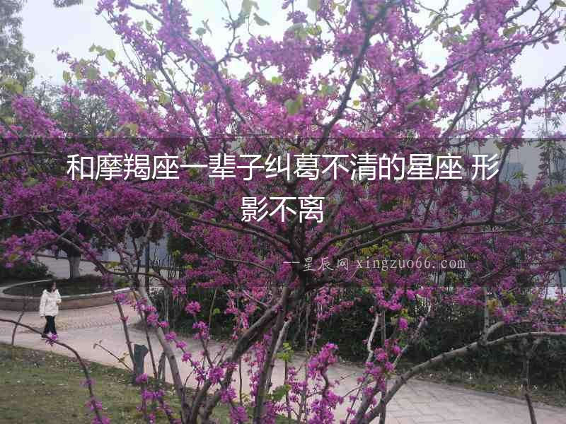 和摩羯座一輩子糾葛不清的星座 形影不離