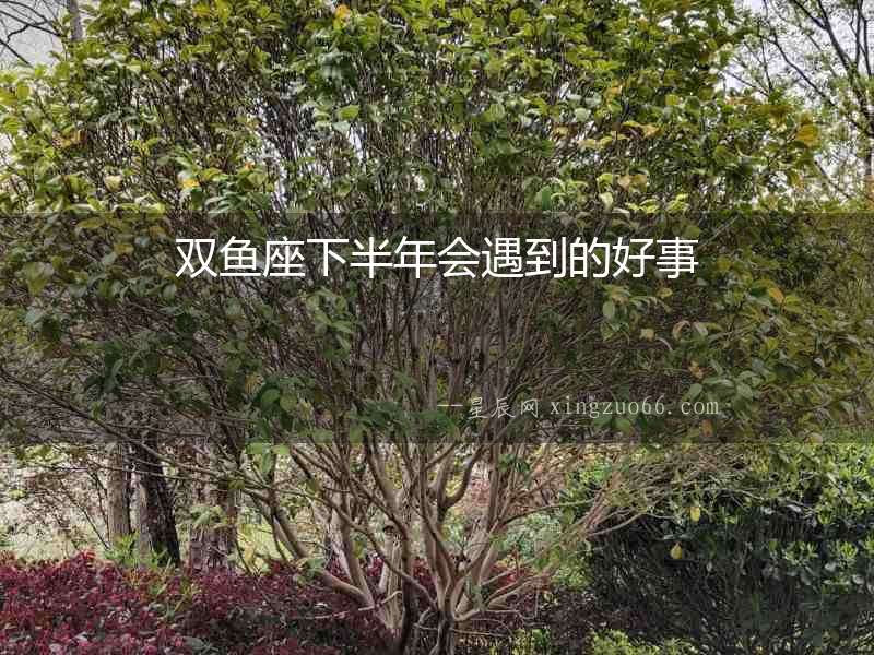 雙魚座下半年會遇到的好事