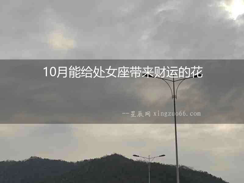 10月能給處女座帶來財運的花