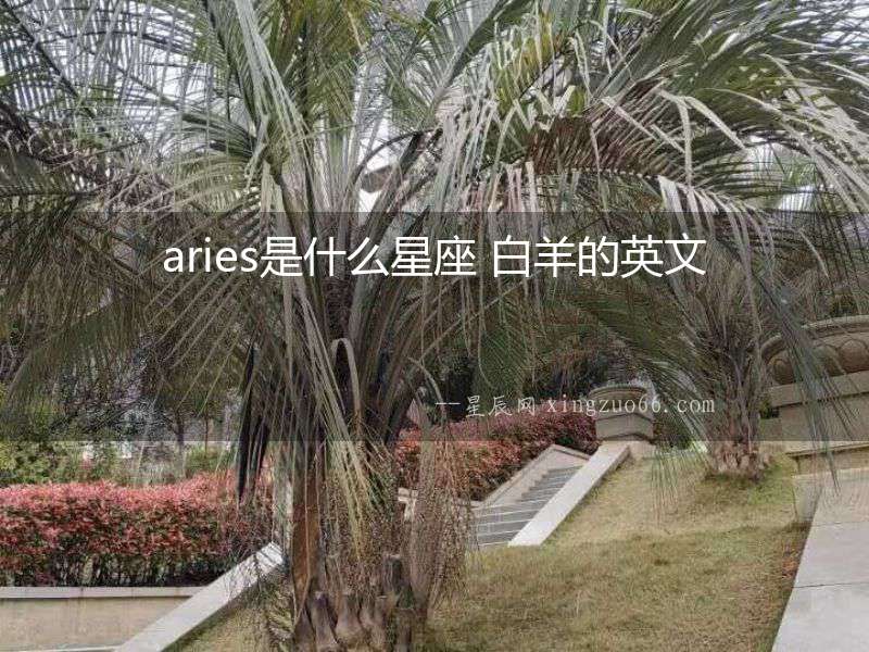 aries是什么星座 白羊的英文
