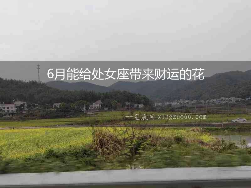 6月能給處女座帶來財運的花