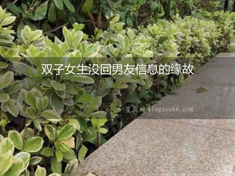 雙子女生沒回男友信息的緣故