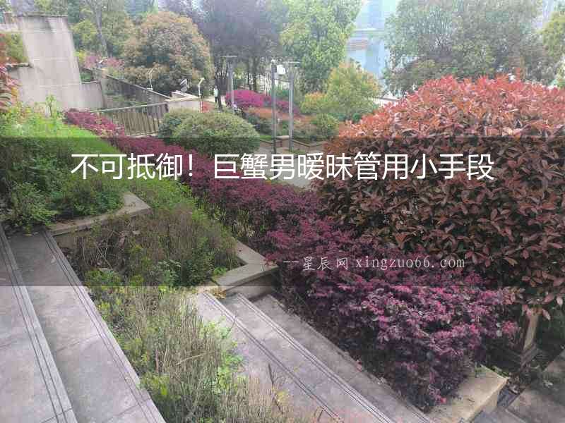 不可抵御！巨蟹男曖昧管用小手段