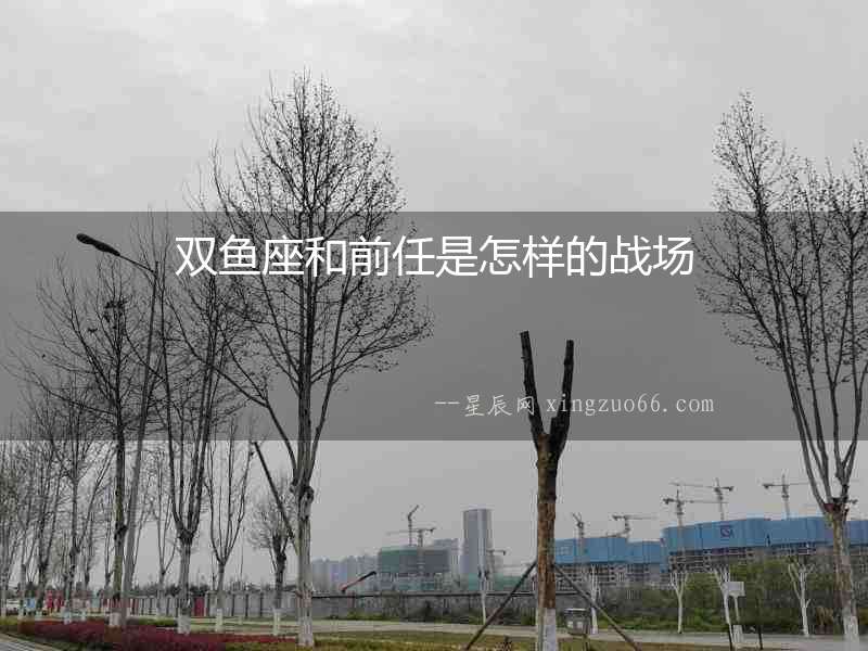 雙魚座和前任是怎樣的戰場