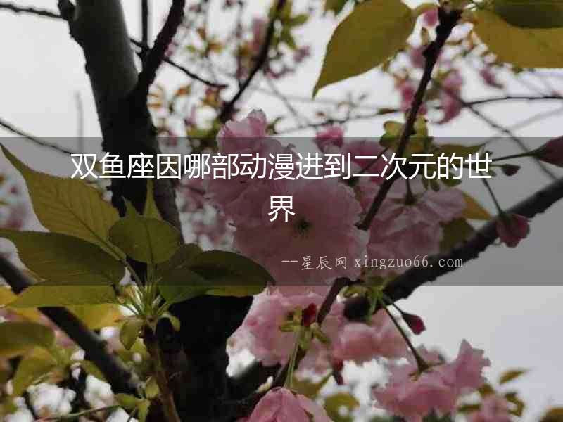 雙魚座因哪部動(dòng)漫進(jìn)到二次元的世界