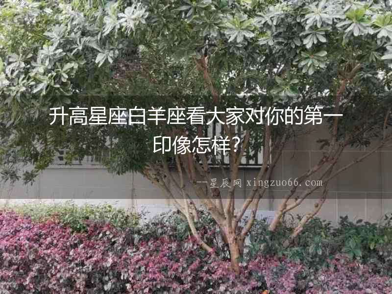 升高星座白羊座看大家對你的第一印像怎樣？
