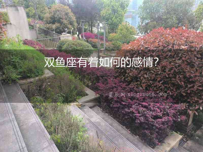 雙魚座有著如何的感情？