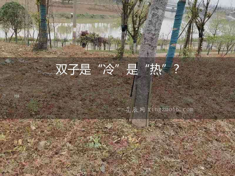 雙子是“冷”是“熱”？