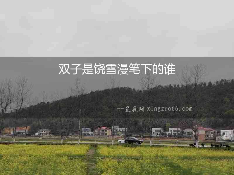 雙子是饒雪漫筆下的誰