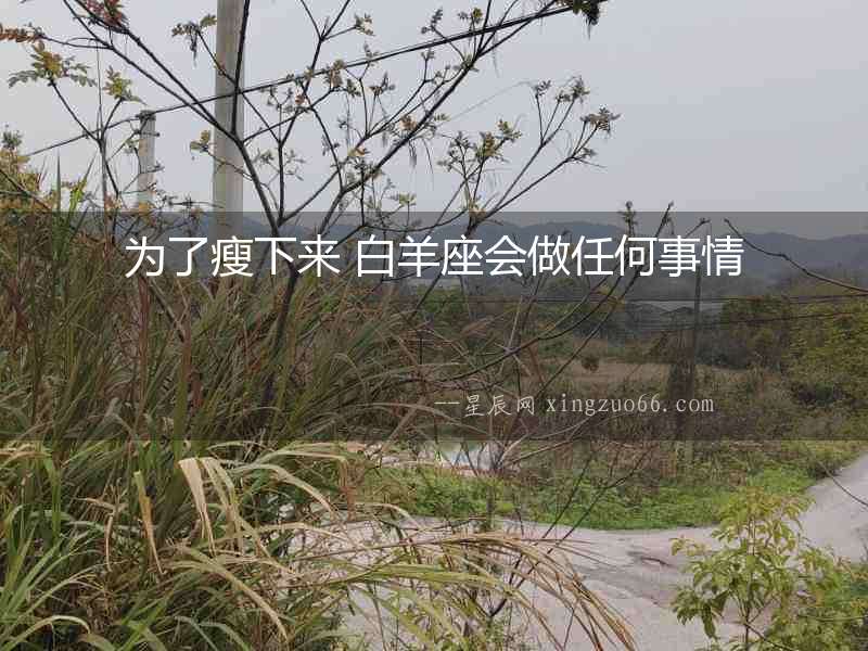 為了瘦下來 白羊座會做任何事情