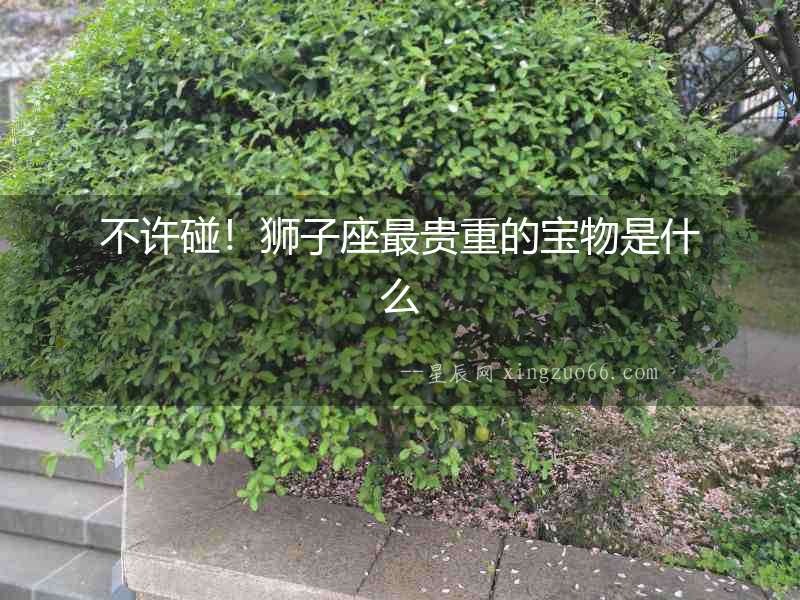 不許碰！獅子座最貴重的寶物是什么