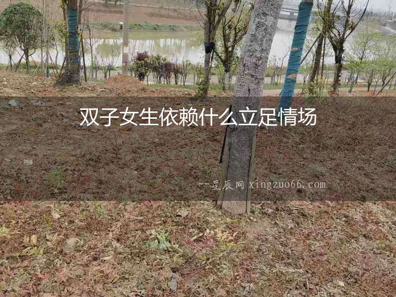 雙子女生依賴什么立足情場