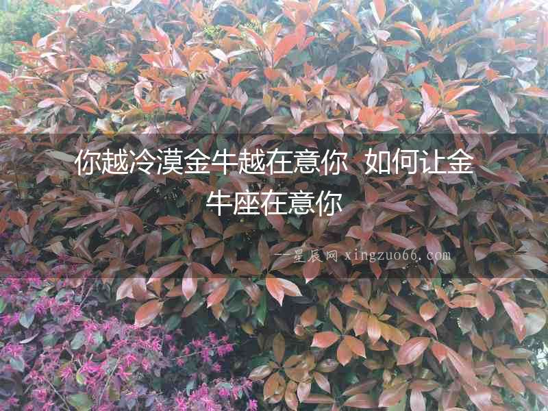 你越冷漠金牛越在意你  如何讓金牛座在意你
