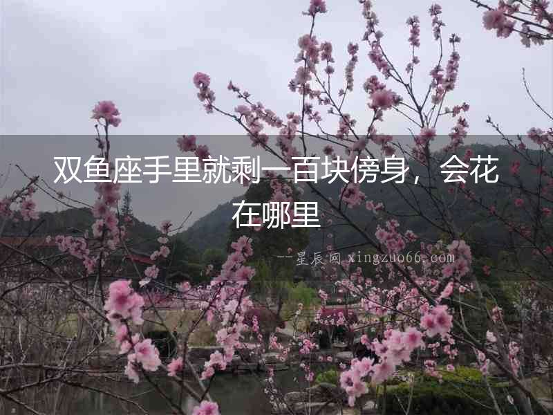 雙魚座手里就剩一百塊傍身，會花在哪里