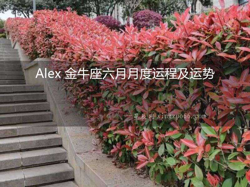 Alex 金牛座六月月度運程及運勢