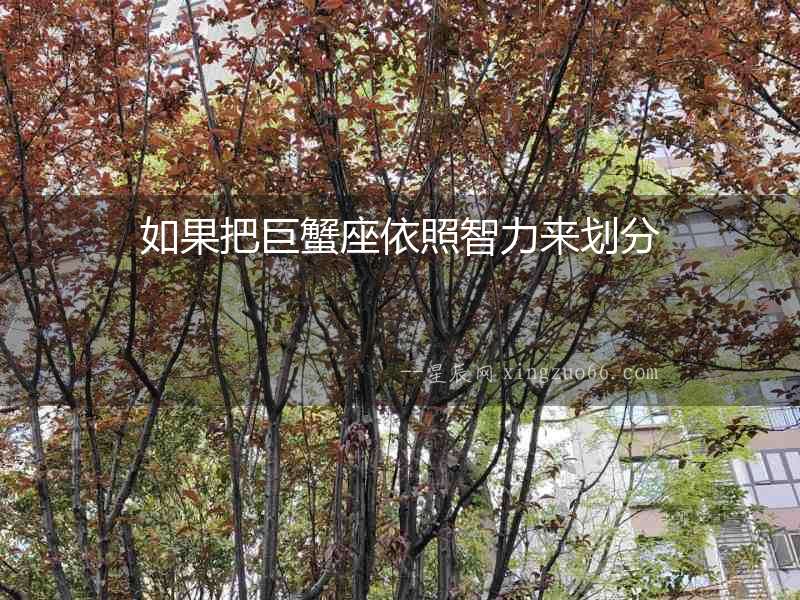 如果把巨蟹座依照智力來劃分