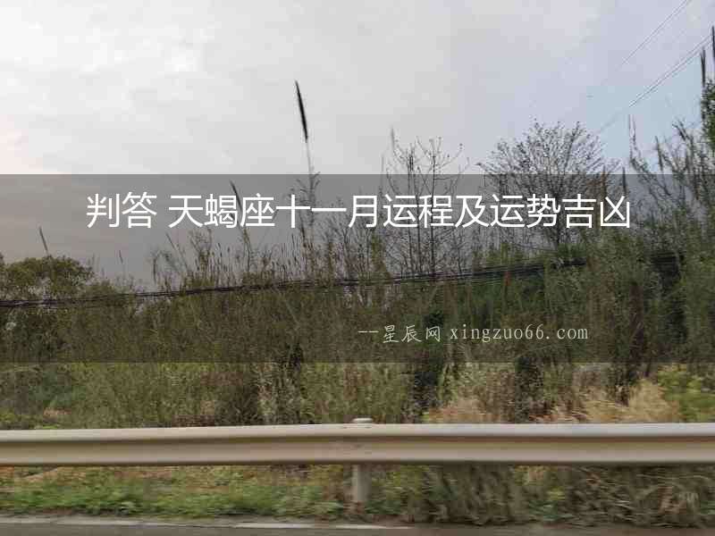 判答 天蝎座十一月運(yùn)程及運(yùn)勢(shì)吉兇