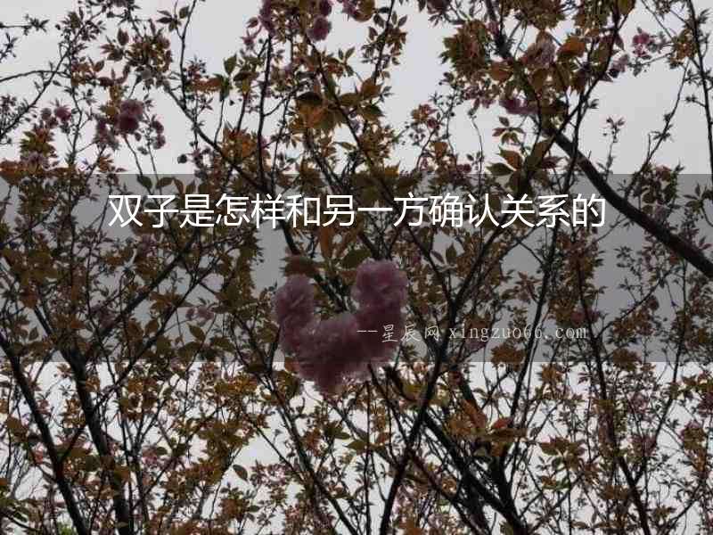 雙子是怎樣和另一方確認關系的