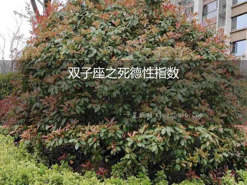 雙子座之死德性指數(shù)