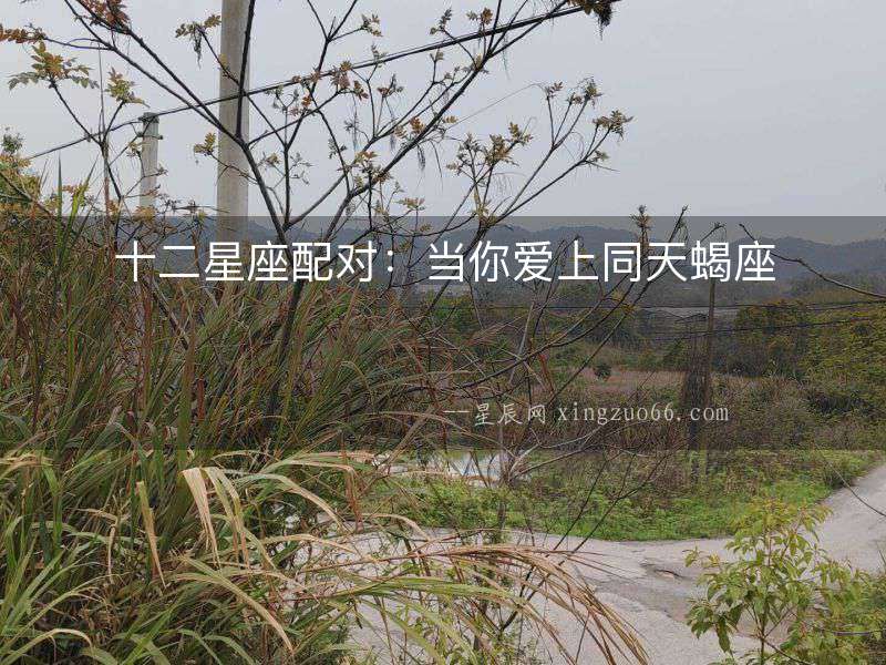 十二星座配對：當你愛上同天蝎座