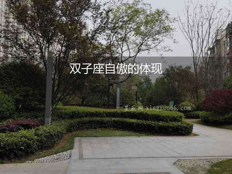 雙子座自傲的體現(xiàn)