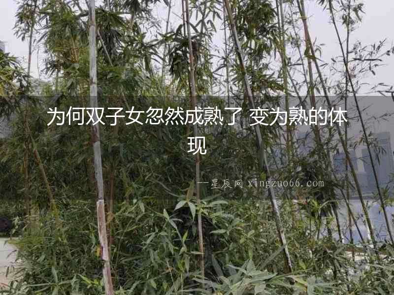 為何雙子女忽然成熟了 變?yōu)槭斓捏w現(xiàn)