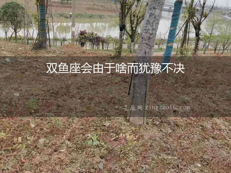 雙魚座會由于啥而猶豫不決