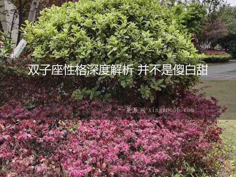雙子座性格深度解析 并不是傻白甜