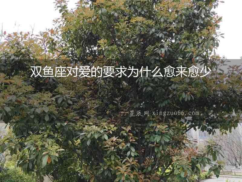 雙魚座對愛的要求為什么愈來愈少