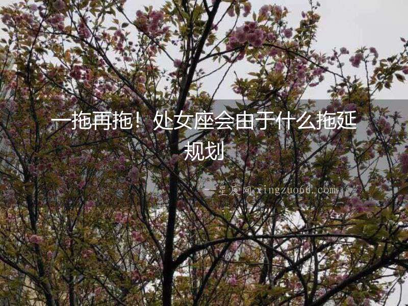 一拖再拖！處女座會由于什么拖延規(guī)劃
