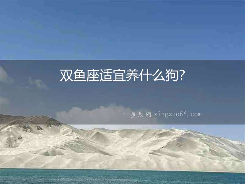 雙魚座適宜養什么狗？