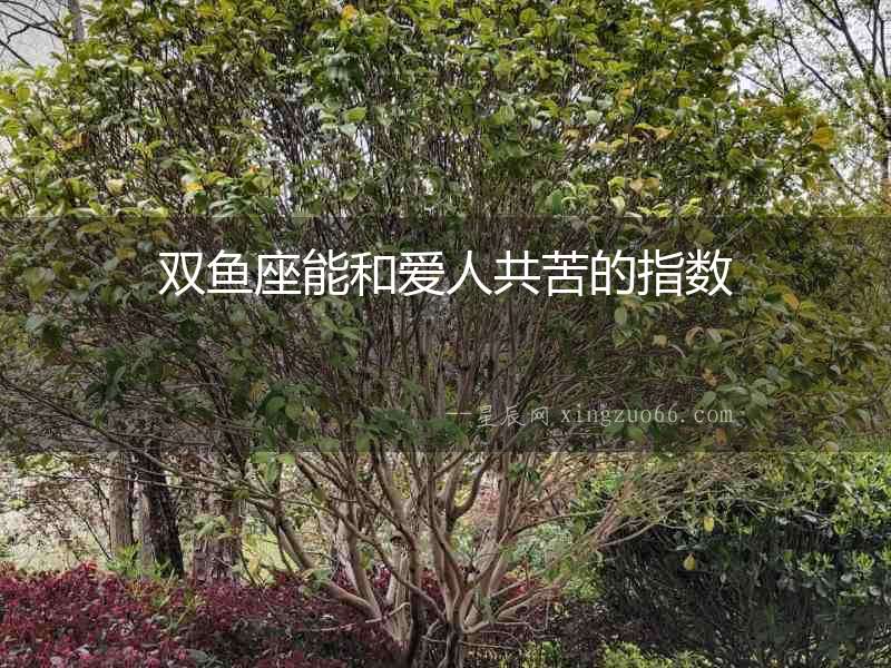 雙魚座能和愛人共苦的指數