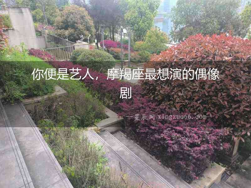 你便是藝人，摩羯座最想演的偶像劇
