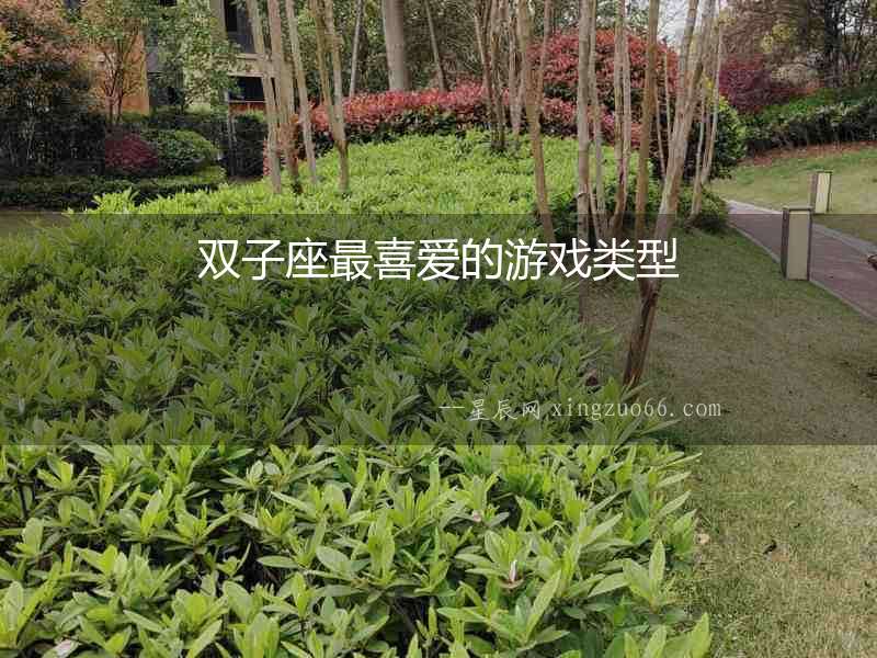 雙子座最喜愛的游戲類型