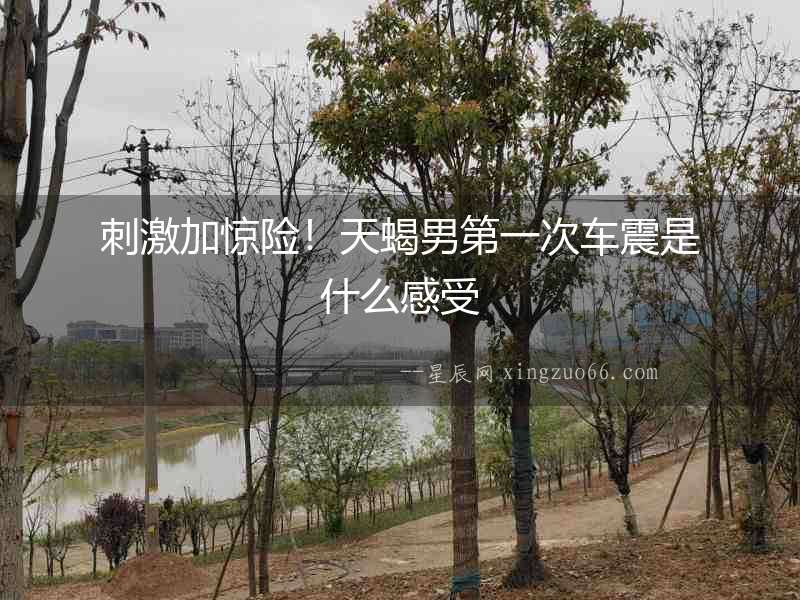 刺激加驚險！天蝎男第一次車震是什么感受