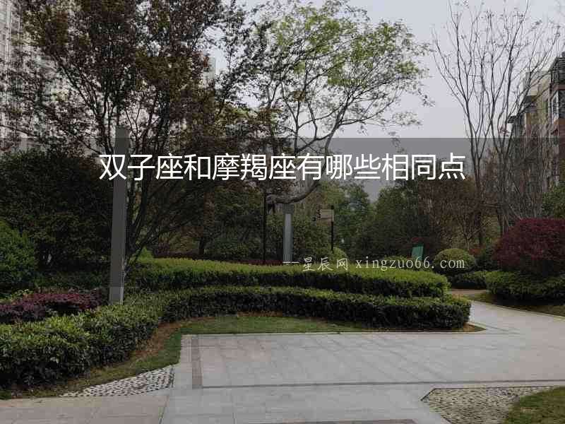 雙子座和摩羯座有哪些相同點