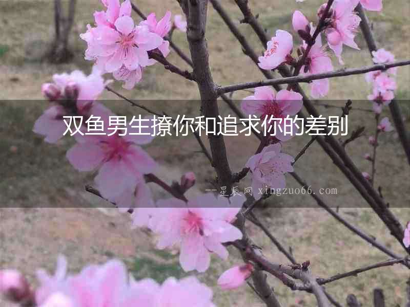 雙魚男生撩你和追求你的差別