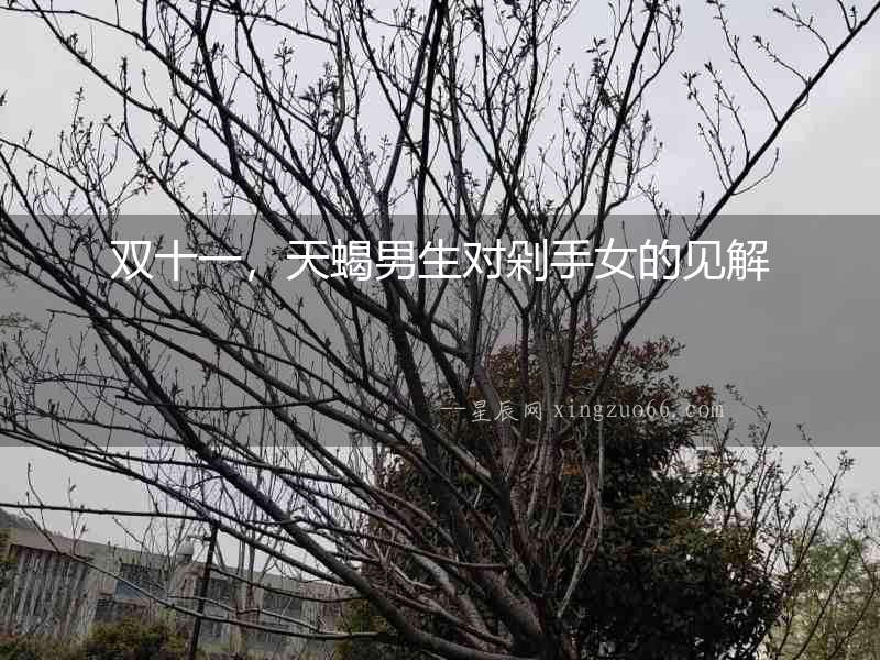 雙十一，天蝎男生對(duì)剁手女的見(jiàn)解