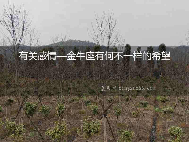 有關感情—金牛座有何不一樣的希望