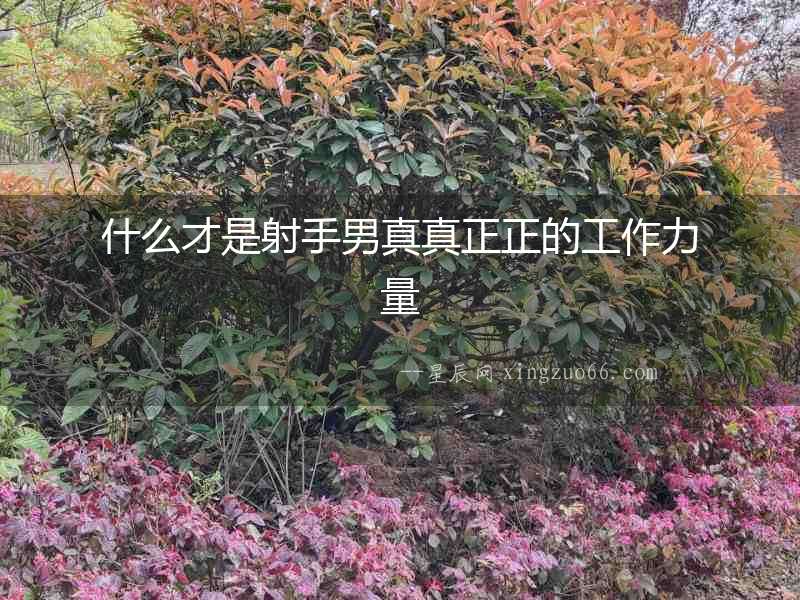 什么才是射手男真真正正的工作力量